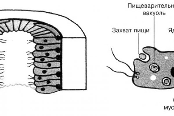 Кракен шоп даркнет