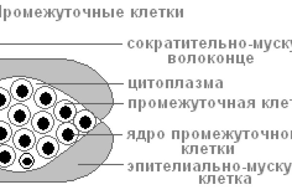 Кракен ссылки тор рабочая